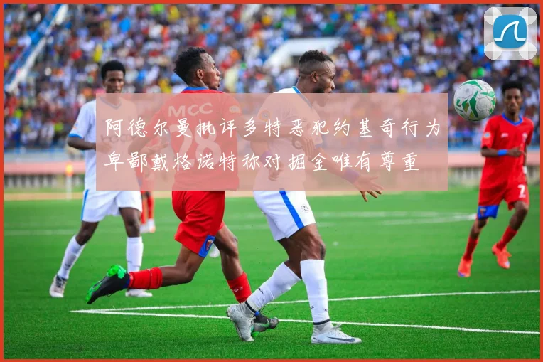 阿德尔曼批评多特恶犯约基奇行为卑鄙戴格诺特称对掘金唯有尊重